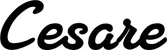 Produktbeispiel Schriftzug - Cesare
