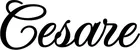 Produktbeispiel Schriftzug - Cesare