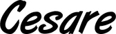Produktbeispiel Schriftzug - Cesare