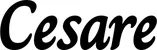 Produktbeispiel Schriftzug - Cesare
