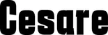 Produktbeispiel Schriftzug - Cesare