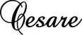 Produktbeispiel Schriftzug - Cesare