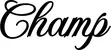 Produktbeispiel Schriftzug - Champ