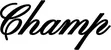 Produktbeispiel Schriftzug - Champ