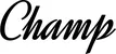 Produktbeispiel Schriftzug - Champ