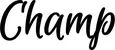 Produktbeispiel Schriftzug - Champ