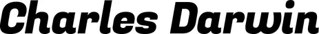 Produktbeispiel Schriftzug - Charles Darwin