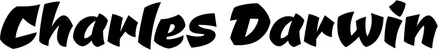 Produktbeispiel Schriftzug - Charles Darwin