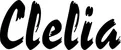 Produktbeispiel Schriftzug - Clelia