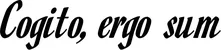 Produktbeispiel Schriftzug - Cogito, ergo sum