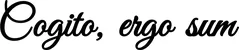 Produktbeispiel Schriftzug - Cogito, ergo sum