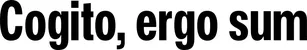 Produktbeispiel Schriftzug - Cogito, ergo sum