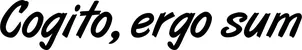 Produktbeispiel Schriftzug - Cogito, ergo sum