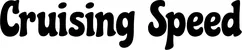 Produktbeispiel Schriftzug - Cruising Speed