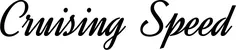 Produktbeispiel Schriftzug - Cruising Speed