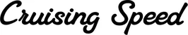 Produktbeispiel Schriftzug - Cruising Speed