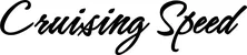 Produktbeispiel Schriftzug - Cruising Speed