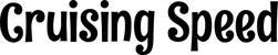 Produktbeispiel Schriftzug - Cruising Speed