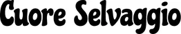 Produktbeispiel Schriftzug - Cuore Selvaggio