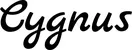 Produktbeispiel Schriftzug - Cygnus