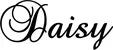 Produktbeispiel Schriftzug - Daisy