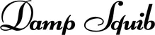 Produktbeispiel Schriftzug - Damp Squib