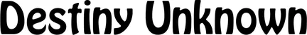 Produktbeispiel Schriftzug - Destiny Unknown