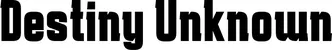 Produktbeispiel Schriftzug - Destiny Unknown