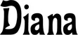 Produktbeispiel Schriftzug - Diana