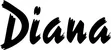 Produktbeispiel Schriftzug - Diana
