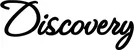 Produktbeispiel Schriftzug - Discovery