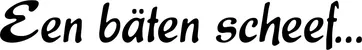 Produktbeispiel Schriftzug - Een bäten scheef...