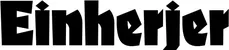 Produktbeispiel Schriftzug - Einherjer