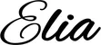 Produktbeispiel Schriftzug - Elia