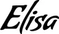 Produktbeispiel Schriftzug - Elisa