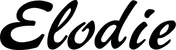 Produktbeispiel Schriftzug - Elodie