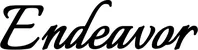 Produktbeispiel Schriftzug - Endeavor