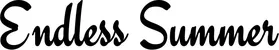Produktbeispiel Schriftzug - Endless Summer