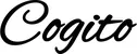 Produktbeispiel Schriftzug - Ego sum, qui sum