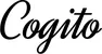 Produktbeispiel Schriftzug - Ego sum, qui sum