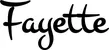 Produktbeispiel Schriftzug - Fayette