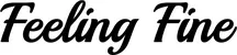 Produktbeispiel Schriftzug - Feeling Fine