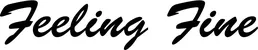 Produktbeispiel Schriftzug - Feeling Fine