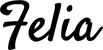Produktbeispiel Schriftzug - Felia