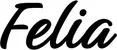 Produktbeispiel Schriftzug - Felia