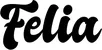Produktbeispiel Schriftzug - Felia