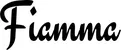 Produktbeispiel Schriftzug - Fiamma