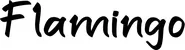 Produktbeispiel Schriftzug - Flamingo
