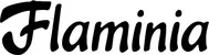 Produktbeispiel Schriftzug - Flaminia
