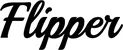 Produktbeispiel Schriftzug - Flipper